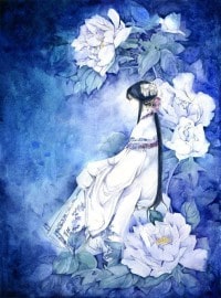 宠物小精灵之御守晴明
